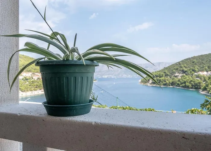 Apartment By The Sea Pucisca, Brac - 5625 *